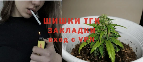 тгк Армянск