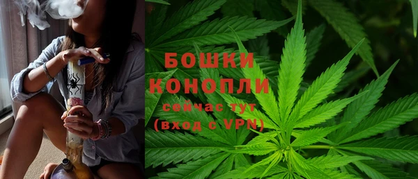 тгк Армянск