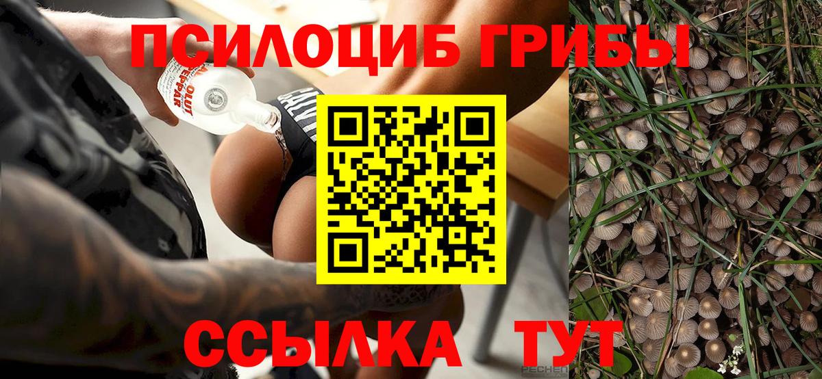 Галлюциногенные грибы Psilocybine cubensis  Вход с VPN  Минусинск 